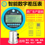 智能數(shù)字差壓表校驗(yàn)儀
